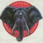 memoria-de-elefante